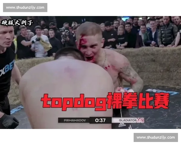 震撼!街头裸拳生死对决:暴力美学的极致诠释 震撼!街头裸拳生死对决:暴力美学的极致诠释